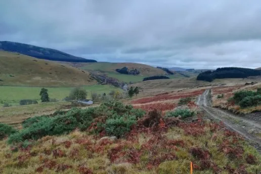 Highlands landscape