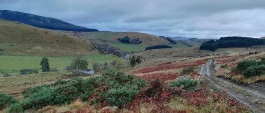 Highlands landscape