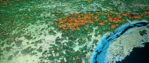 LiDar date from the air.