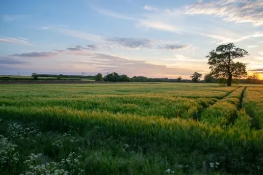 Oxfordshire hills at dusk