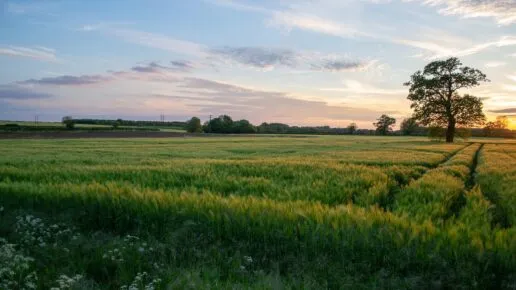 Oxfordshire hills at dusk