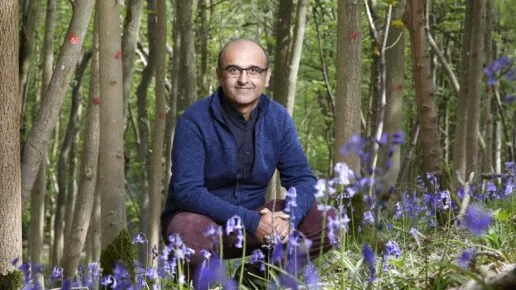 Man crouching among bluebells with trees behind