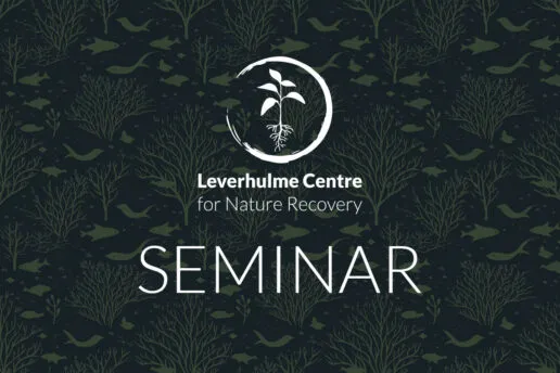 Patterned image with 'Seminar' written in the middel