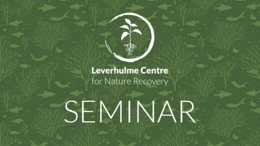 Patterned image with 'Seminar' written in the middel