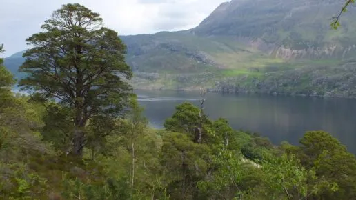 Green trees in the foreground, with a lake on the other side of the lak is a steep mountain