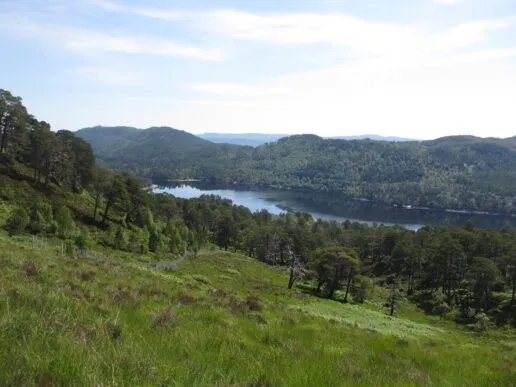 lush green valley with a river flowing through it. Trees on the nearshore cover half the hillside and all of the hillside on the opposite shore