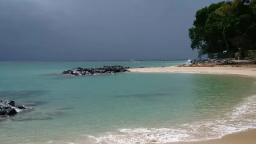 Sandy beach in the foreground with trees to the beach, blue sea and stormy skies above