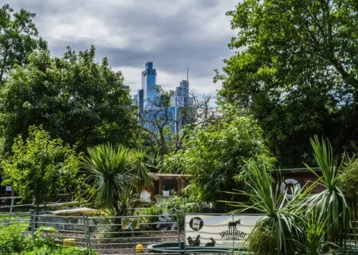 Photo:Georg Eiermann, Unsplash