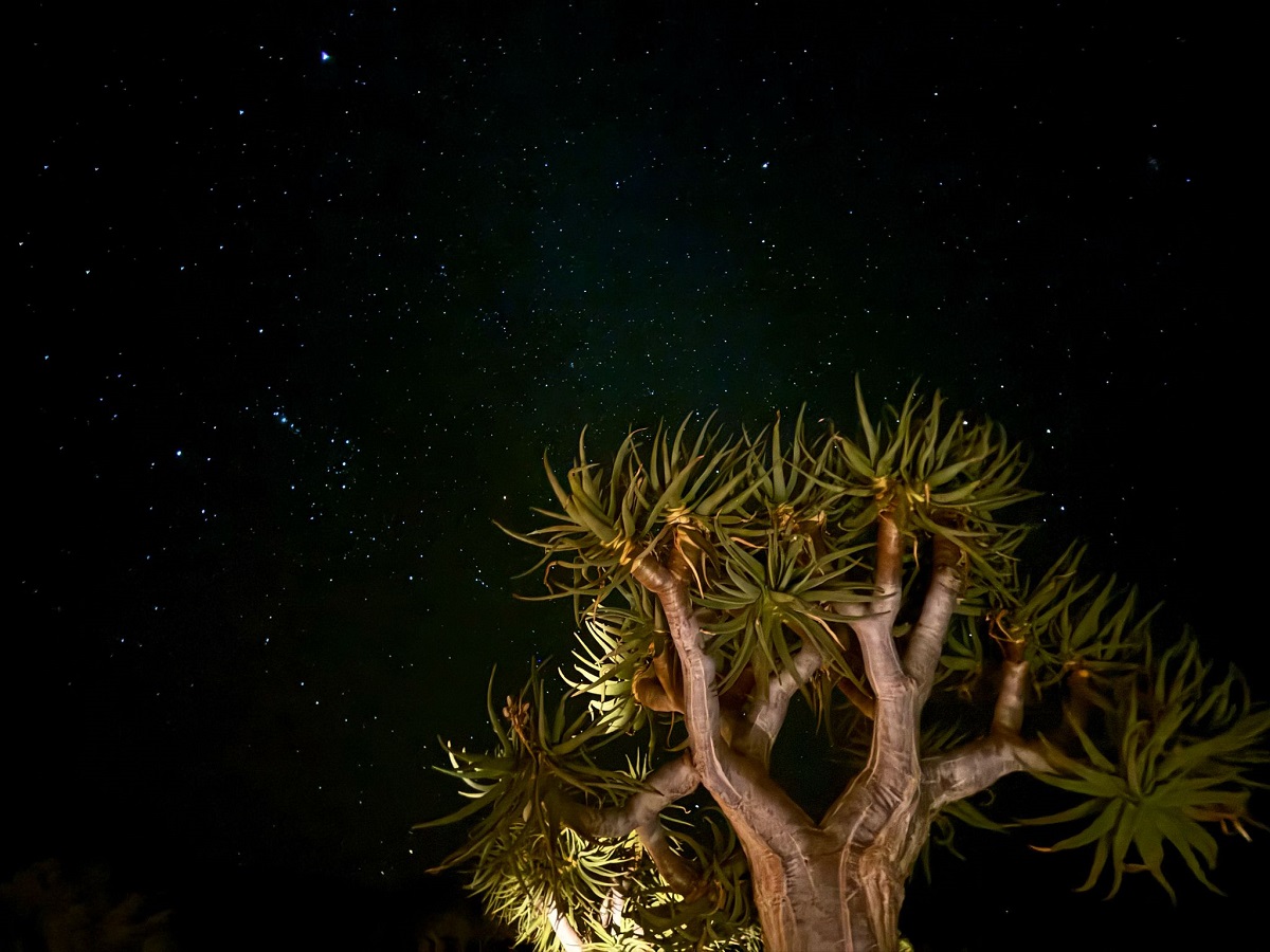 Rewilding a Unique Namibian Landscape