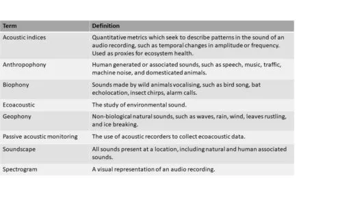 Table of terms used in the briefing notes and their definitions