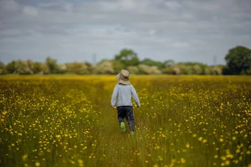 toddler with a hat on walking through meadow flowers