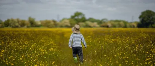 toddler with a hat on walking through meadow flowers