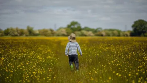 toddler with a hat on walking through meadow flowers