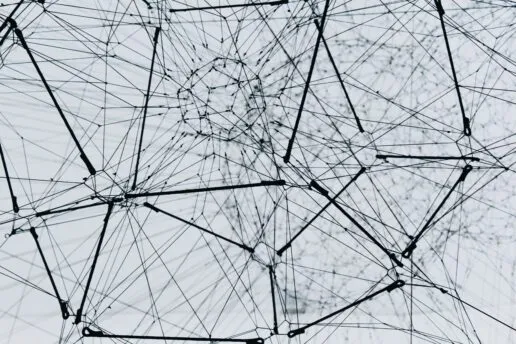 Representation of data nodes with black interconnected lines