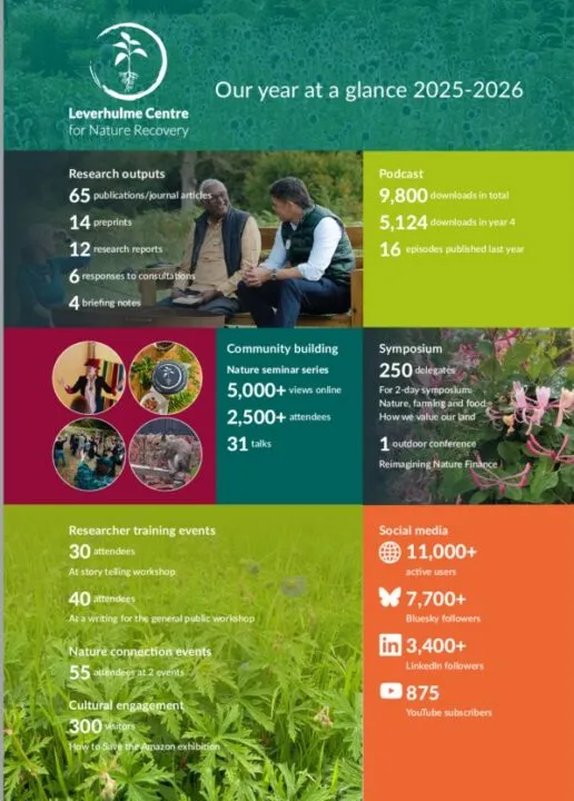 Year at a glance