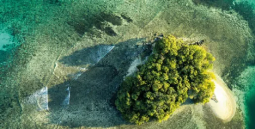 Aerial image of a small wooded island surrounded by ocean